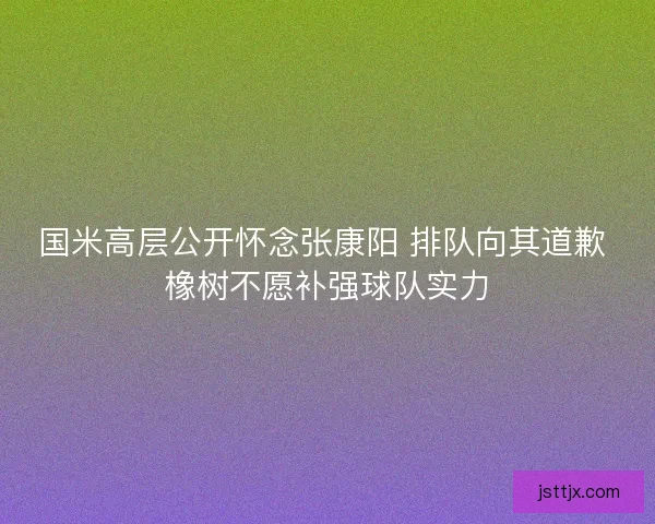 国米高层公开怀念张康阳 排队向其道歉 橡树不愿补强球队实力